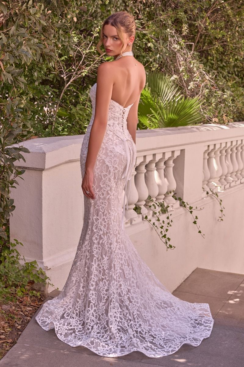 Andrea and Leo WL102 Dress