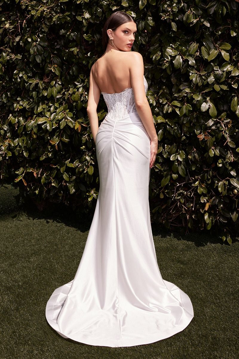 Ladivine CD797W Dress - ElbisNY