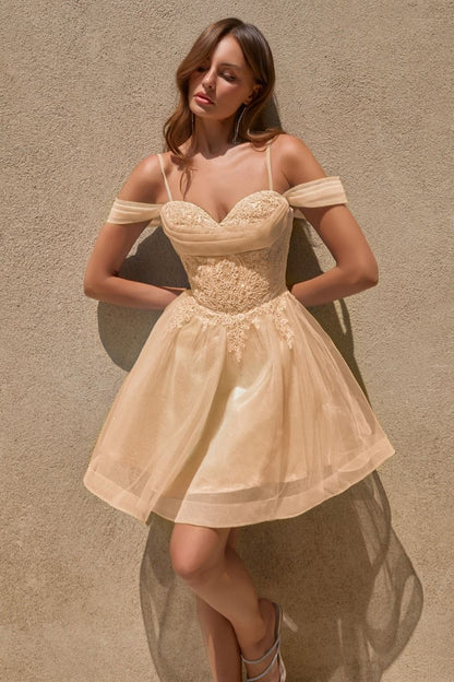Ladivine CY024 Dress