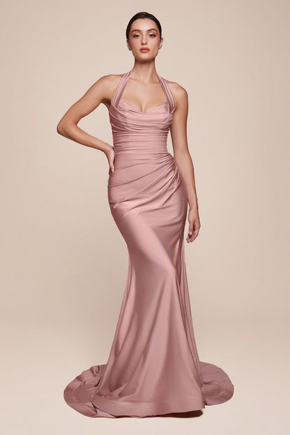 Ladivine CD796 Dress
