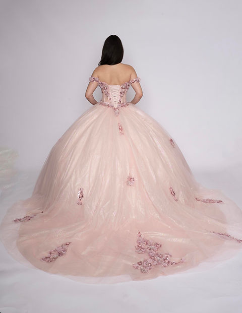 Nina Canacci Q116 Dress