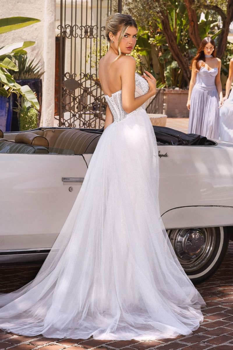 Ladivine CC492W Dress