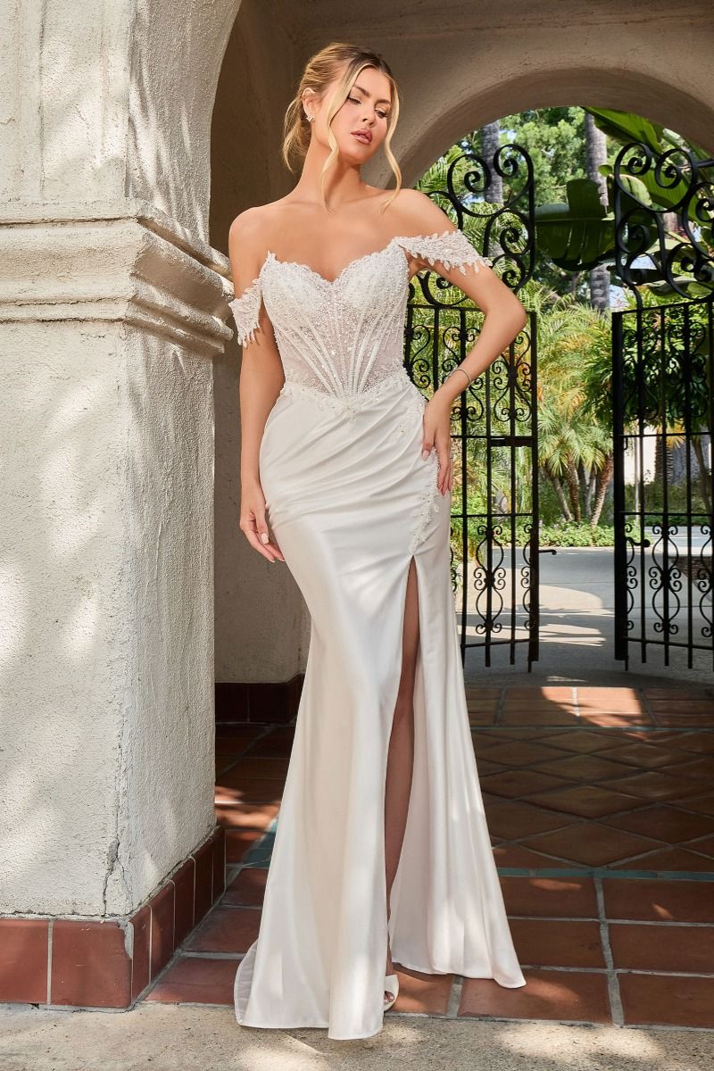 Ladivine CC456W Dress