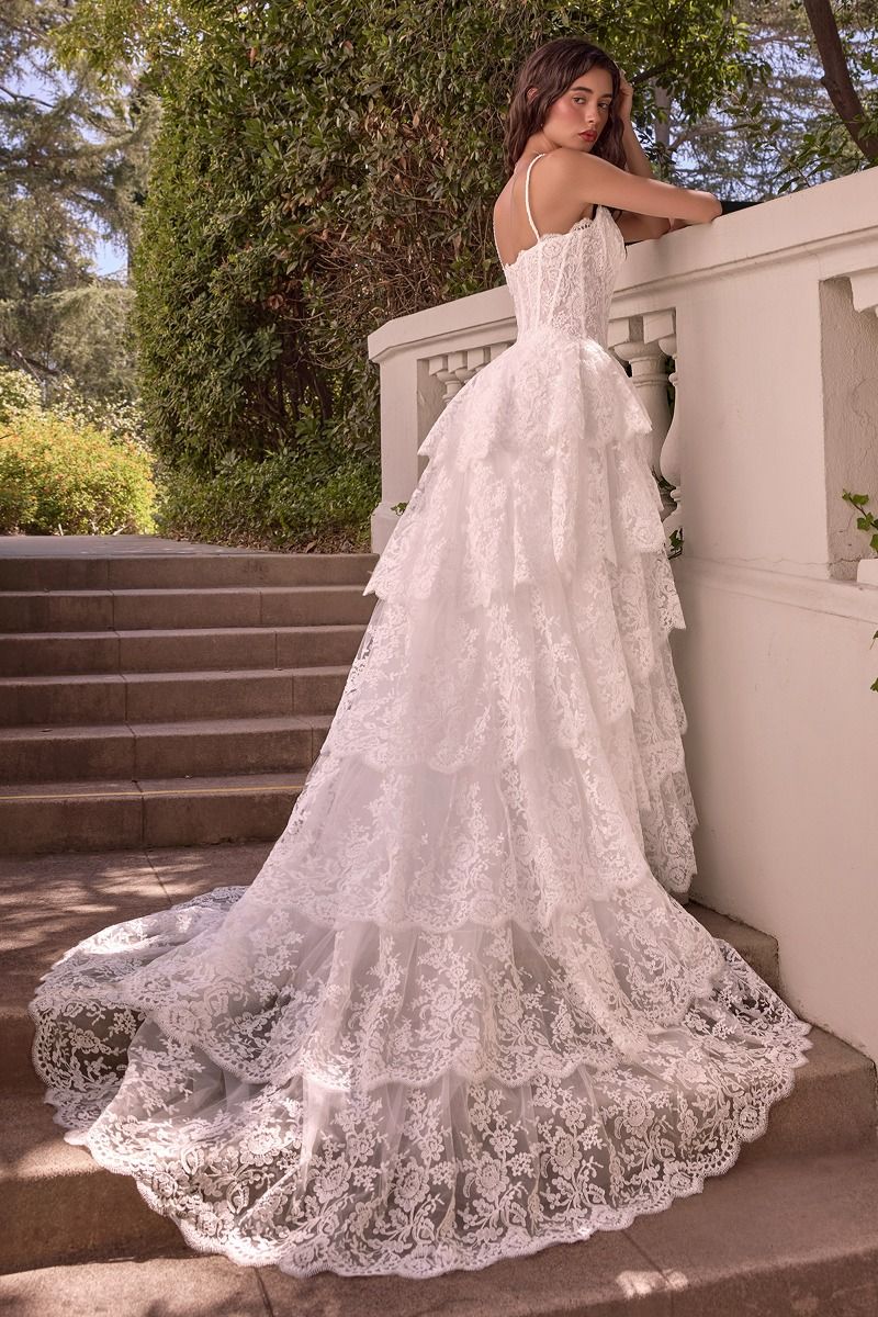 Andrea and Leo WL076 Dress