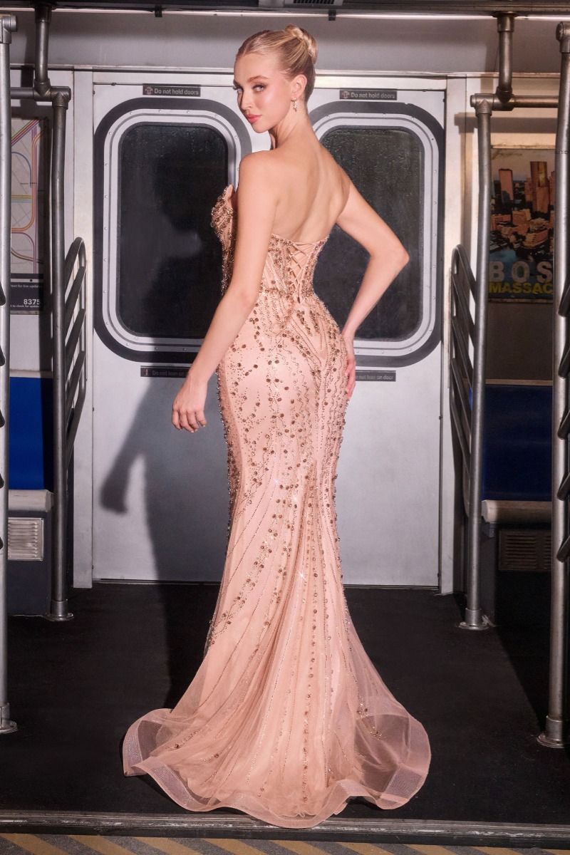 Ladivine CC8262 Dress - ElbisNY