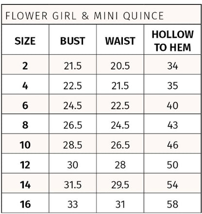 Rachel Allan RB9191 Dress