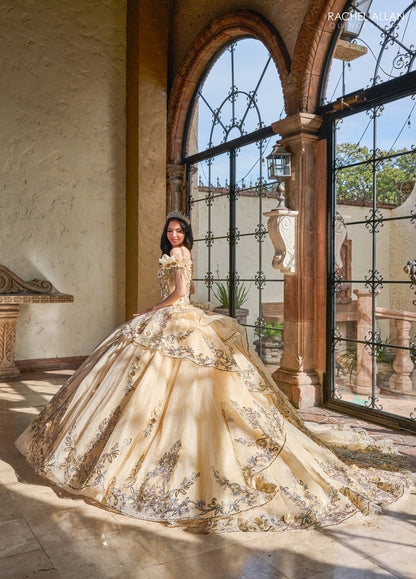 Rachel Allan RQ3137 Dress