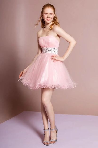 GS1053 Elizabeth K Dress