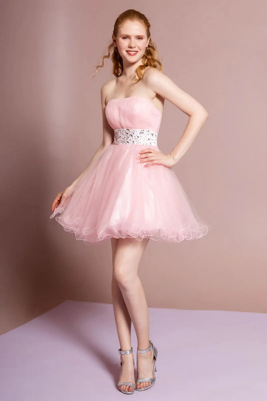 GS1053 Elizabeth K Dress