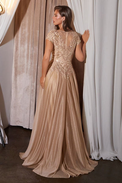 Ladivine CL11 Dress