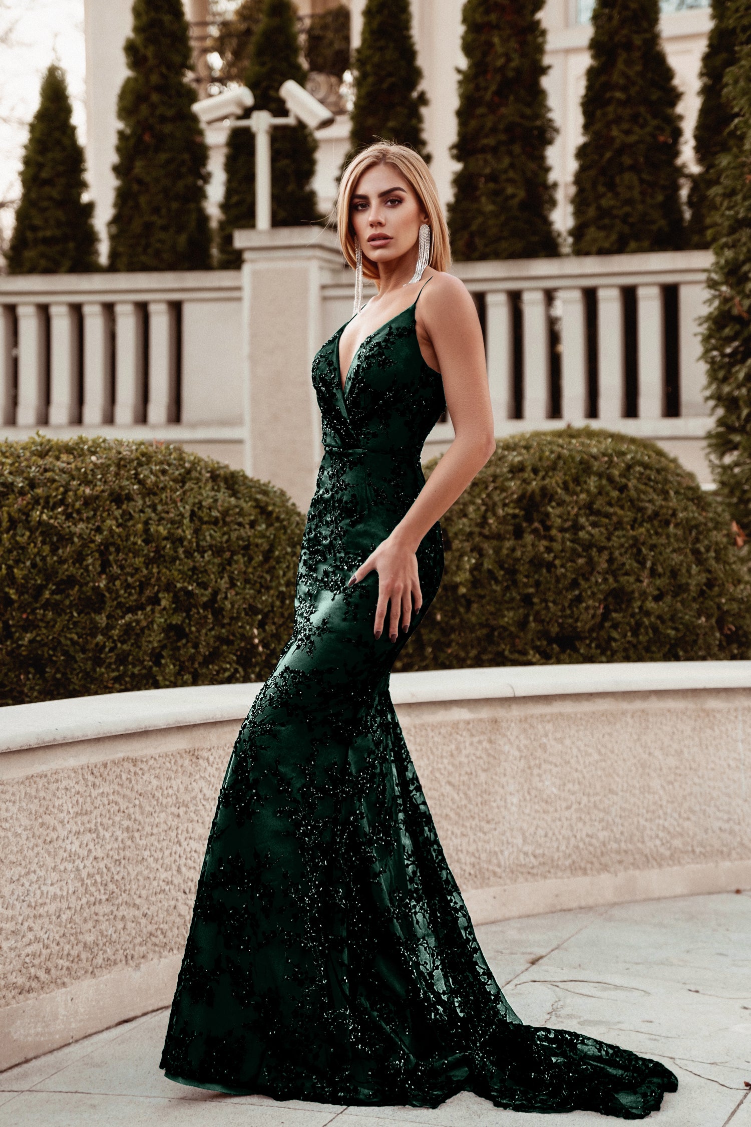 Tina Holly House Of Harlow Emerald Dress Tina Holly TK551 Long Fitted 3D Lace Formal Prom Tina Holly House Of Harlow Emerald Dress Tina Holly TK551 Long Fitted 3D Lace Formal Prom